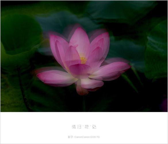 2025年5月 第40页