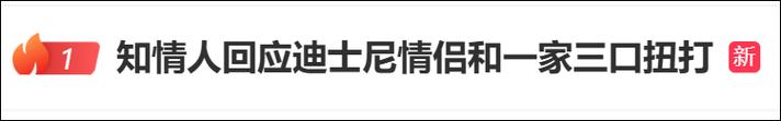 上海迪士尼游客打架,上海迪士尼游客打架图片